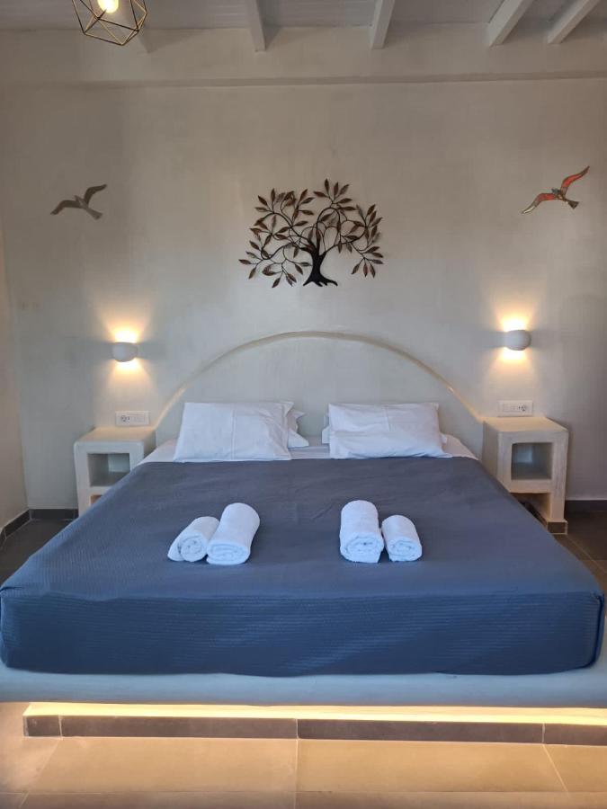 The Muses Of Santorini Private Jacuzzi Apartment *